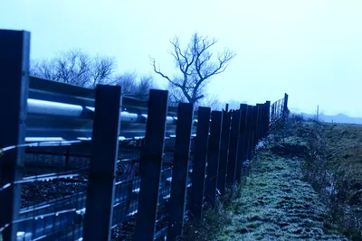 DSC_1013 (Large).JPG